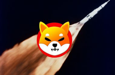 Shiba Inu Rocket Burn Moon