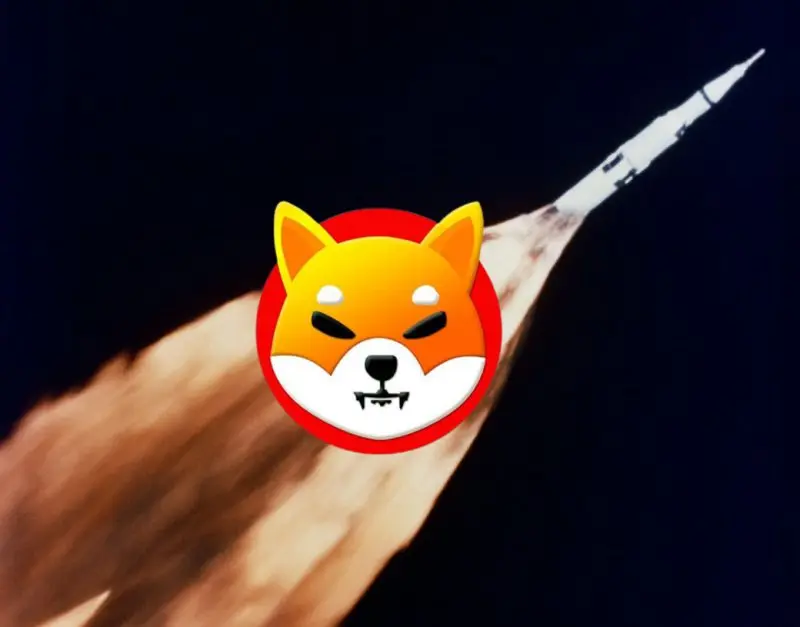 Shiba Inu Rocket Burn Moon