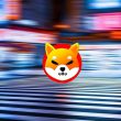 Shiba Inu Japan Lights