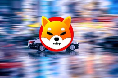 shiba inu journey