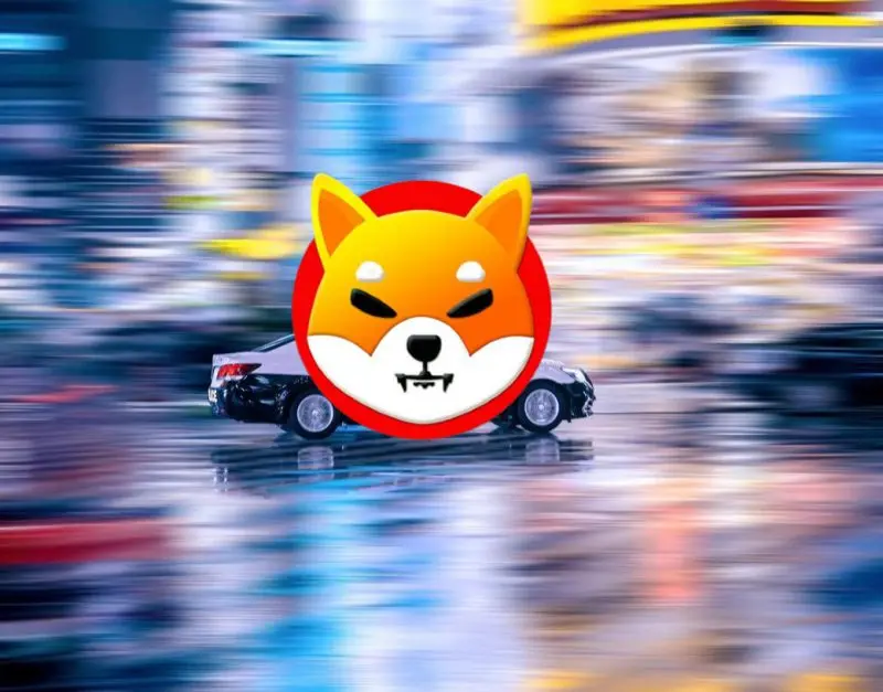 shiba inu journey