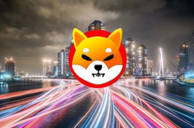 Shiba Inu Lights Japan