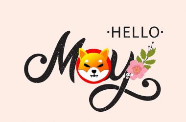 Shiba Inu May 2023 price prediction
