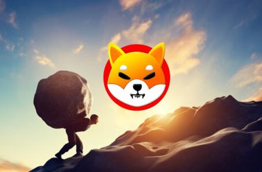 Shiba Inu Rock Bottom Burden
