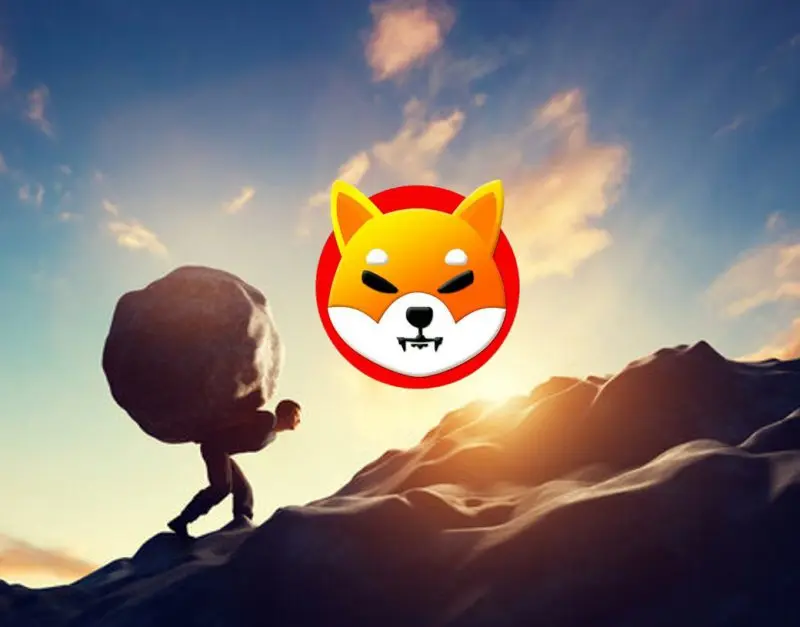 Shiba Inu Rock Bottom Burden