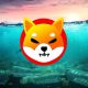Shiba Inu Underwater Sinking