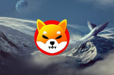 shiba inu whale