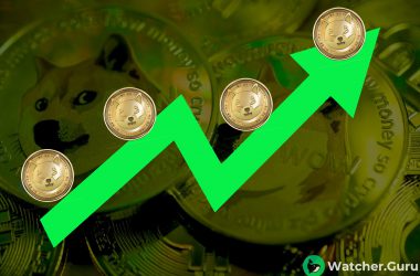 Why Shiba Inu Could Be the Next Big Thing: 3 Reasons for a 10x Increase