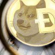 Dogecoin Surge Makes This Trader over $1.1 Million