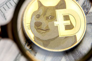 Dogecoin Surge Makes This Trader over $1.1 Million