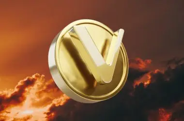vechain vet