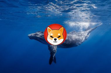 Shiba Inu