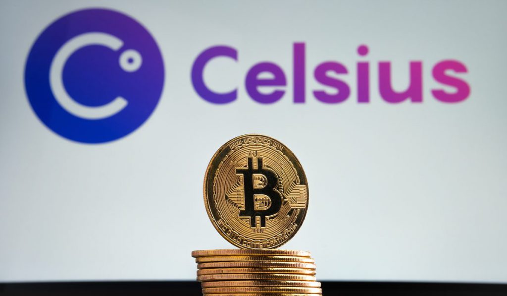 Former Celsius Network executive Roni Cohen-Pavon has pleaded guilty to US criminal charges relating to the collapse of the lender