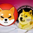 Shiba Inu Dogecoin