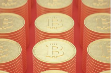 Who owns the most Bitcoin?