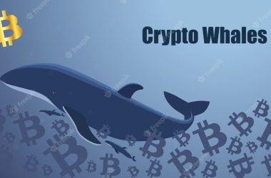 What is a Crypto Whale?
