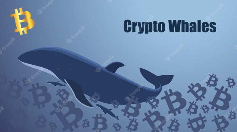 What is a Crypto Whale?