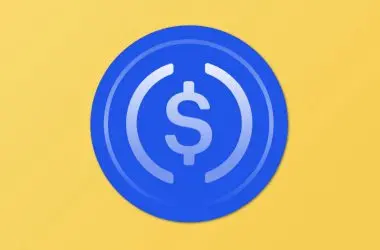 How to Stake USDC?