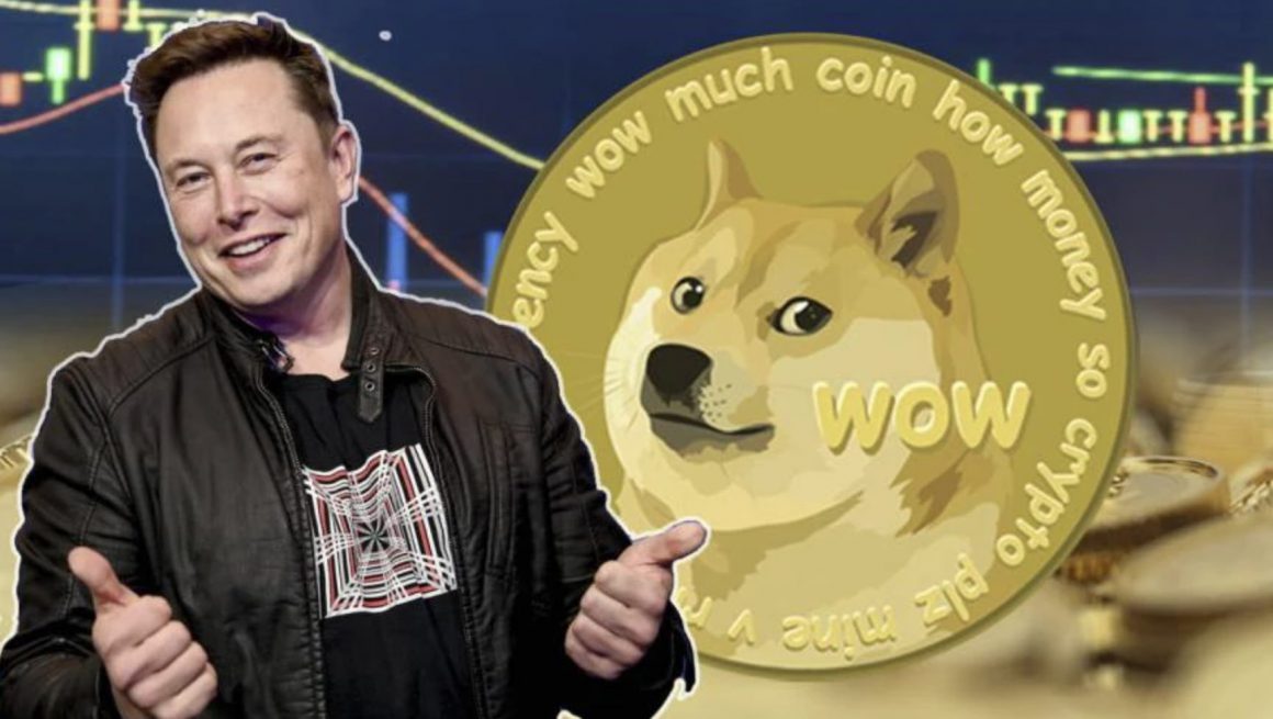 Is Dogecoin Dead? Exploring the Crypto's Fate and Comeback