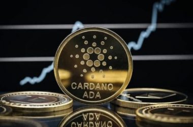 How to Stake Cardano on Coinbase?
