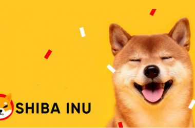 Shiba Inu