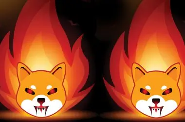 Shiba Inu (SHIB) Burn Rate Goes Uphill, Soars by 72196.31%