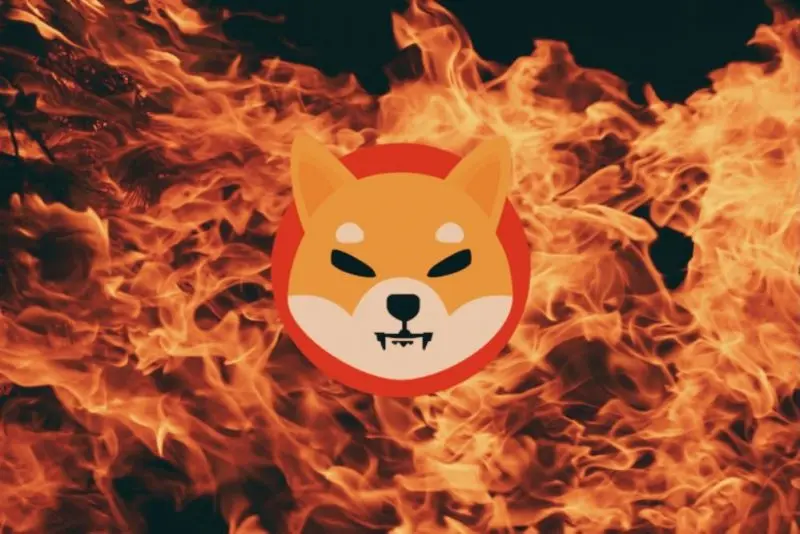 Shiba Inu