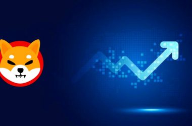 Shiba Inu Price Finally Surges While Burn Rate Drops by -99.8%