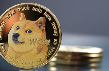 Dogecoin Holdings on Robinhood Hit New Low: Drops to 16% of Circulating Supply