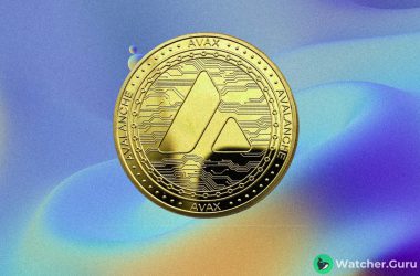 Is Avalanche (AVAX) a Good Investment?