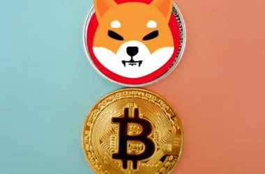 Shiba Inu Bitcoin BTC SHIB
