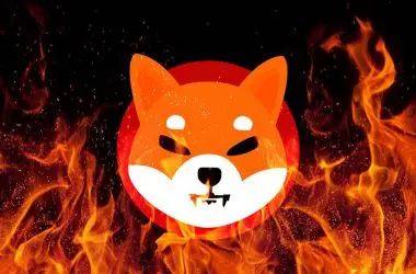 Shiba Inu: What Can Keep SHIB Burn Rate’s Momentum High?