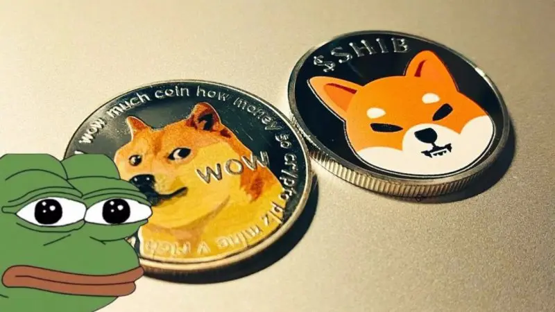 SHIBA INU