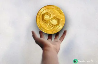 How to Stake Polygon (MATIC)?