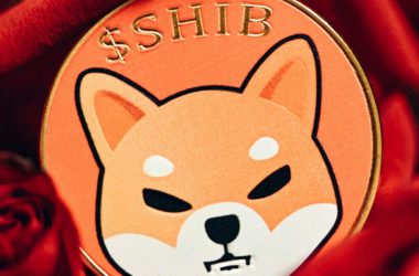 Shiba Inu Sees Surge in Buying Activity While Price Plummets