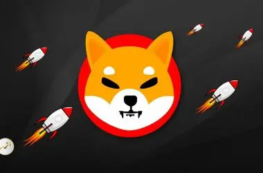 Shiba Inu Price Plummeted By 20% This Month, is a Rebound on the Horizon?"
