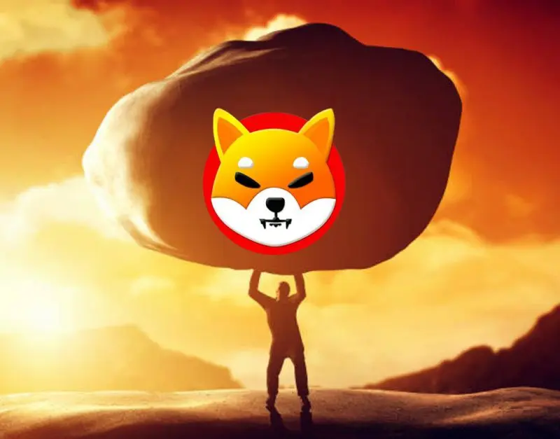 shiba inu burden