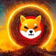 Shiba Inu