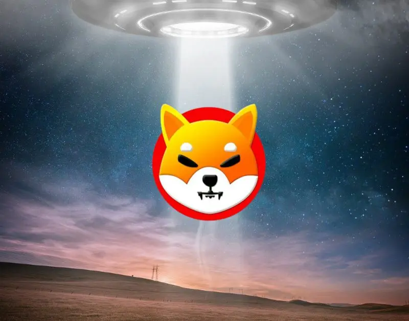 Shiba Inu