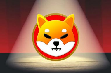 Shiba Inu Spotlight