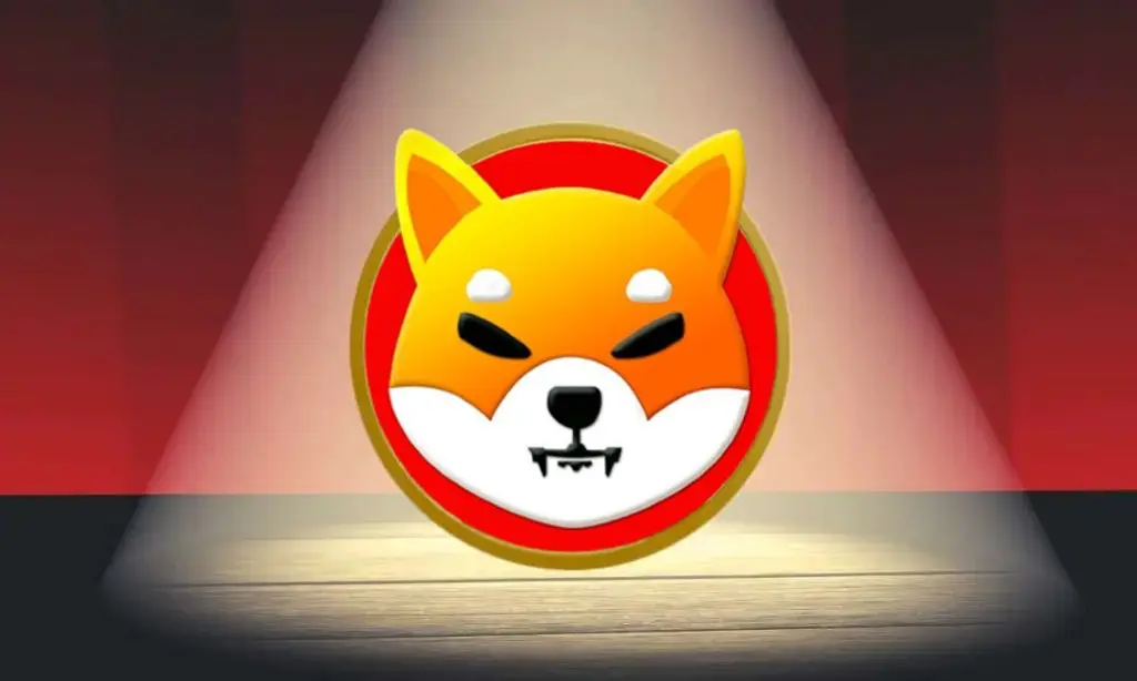 Shiba Inu Spotlight