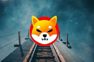shiba inu path tracks