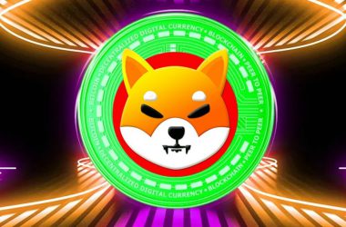 shiba inu