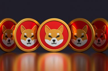Shiba inu