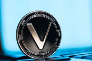 vechain vet