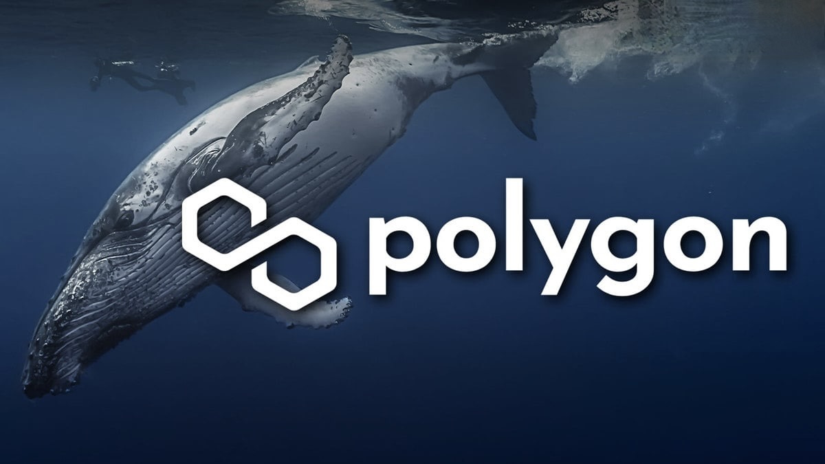 Polygon Whale ارزش 42 میلیون دلاری MATIC را از Binance US حذف کرد