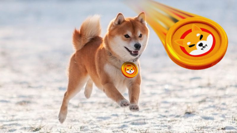 Shiba Inu and ETH Gain Ground in France: 440 Merchants to Accept These Cryptos
