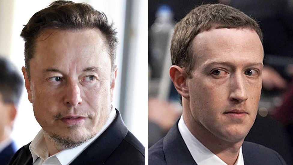 In a tweet Friday morning, Musk says that he and Zuckerberg's foundations will be setting up and managing their fight, not the UFC.