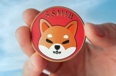 Shiba inu