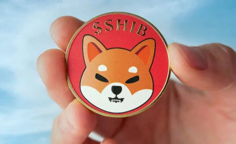 Shiba inu